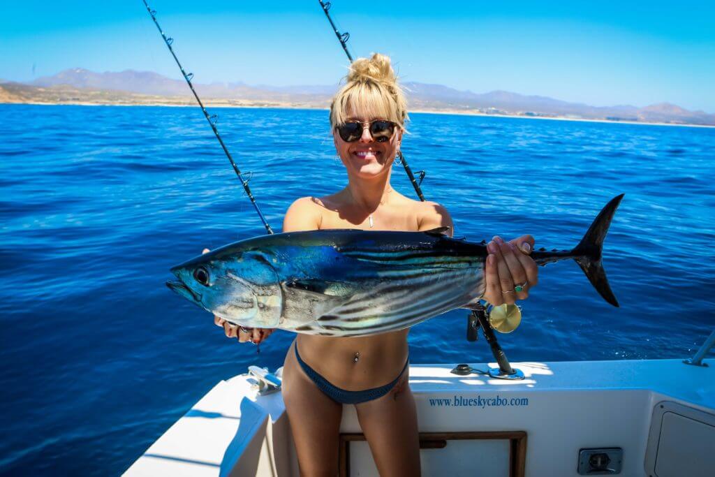 Cabo Sports Fishing Season
