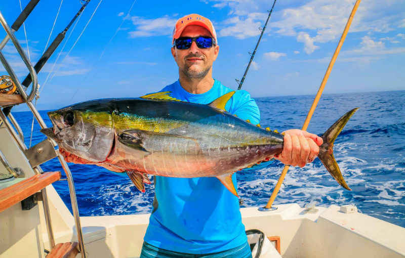 CABO BEACHES, CRUISES AND FISHING