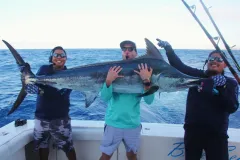 Blue-Marlin-Season-Cabo