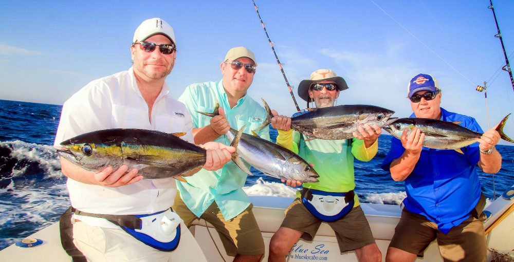 Cabo San Lucas Fishing and Tours