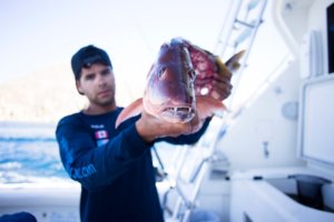 Fishing in Cabo San Lucas Mexico