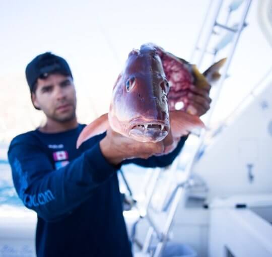 Fishing in Cabo San Lucas Mexico