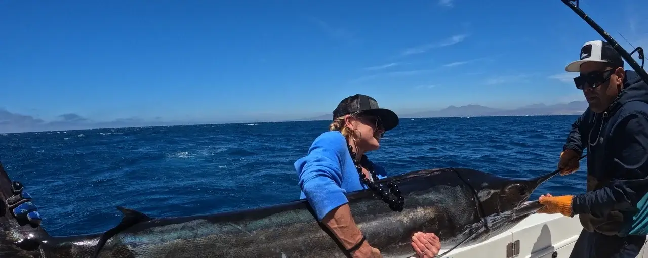 Cabo Fishing Season