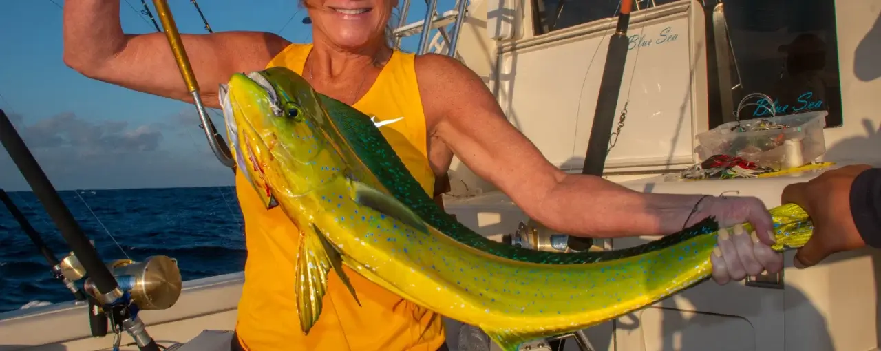 Cabo Mahi Mahi Fishing