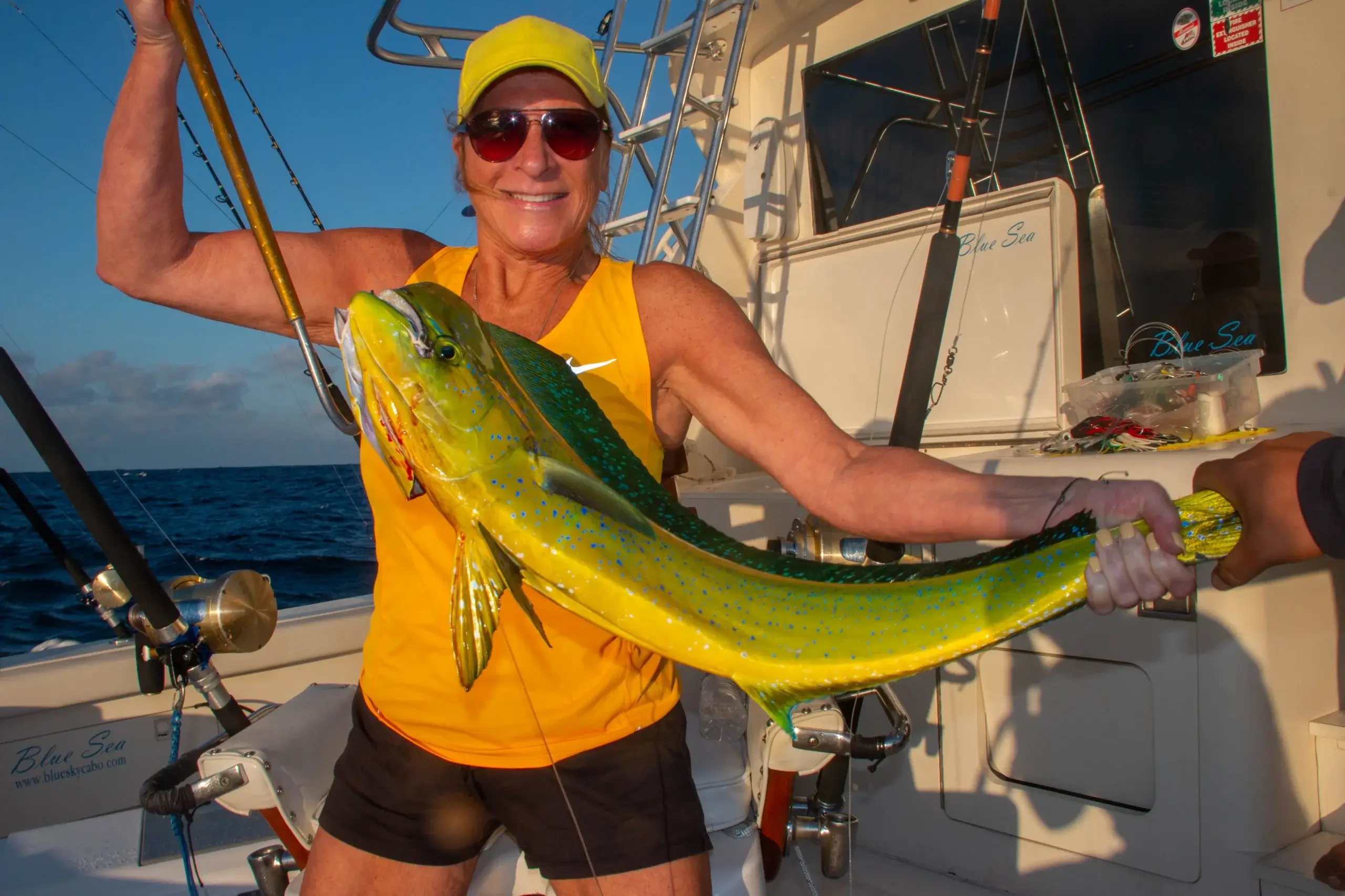 Cabo Mahi Mahi Fishing