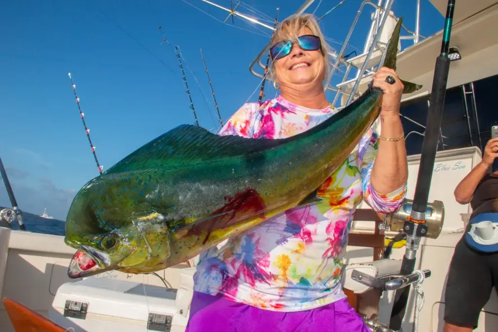 Cabo Mahi Mahi Fishing