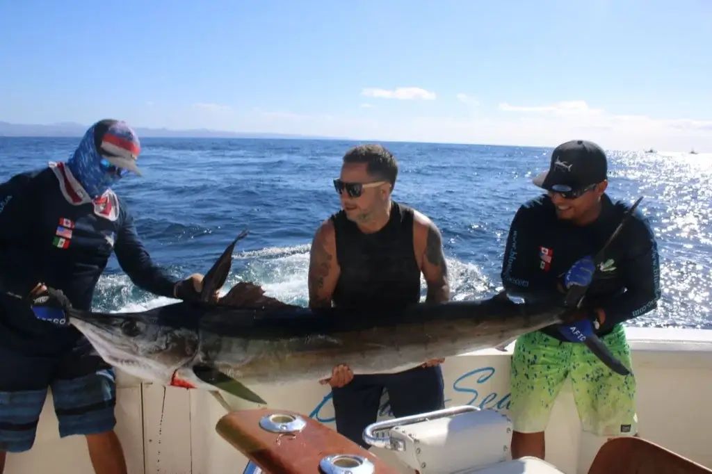 Cabo Marlin Fishing