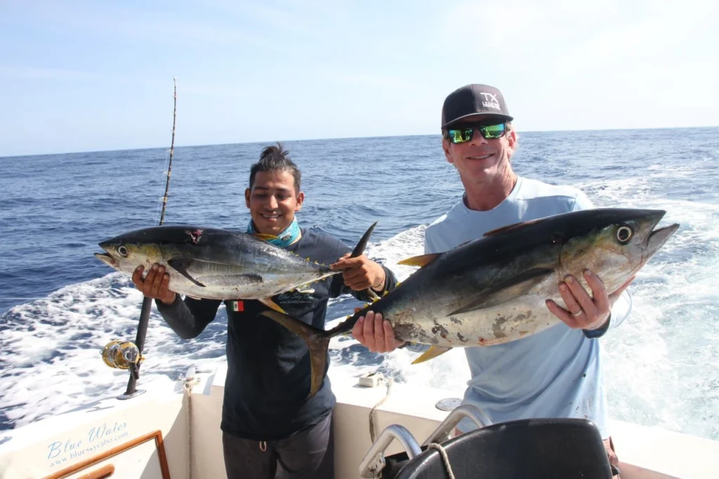 Cabo Fishing Season