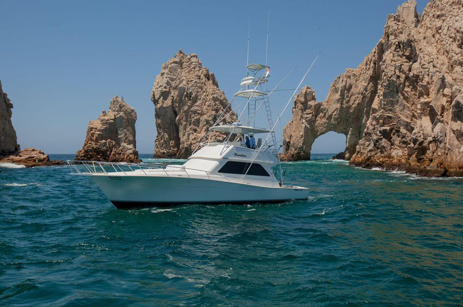 Blue Ocean – 50 Foot Viking