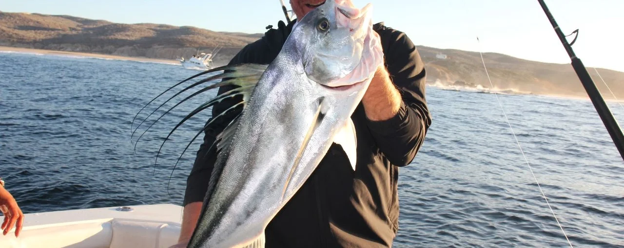 Cabo Fishing Dinner