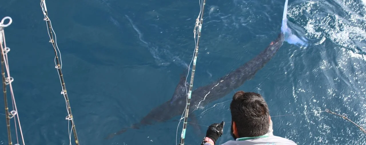 Cabo Fishing Prices