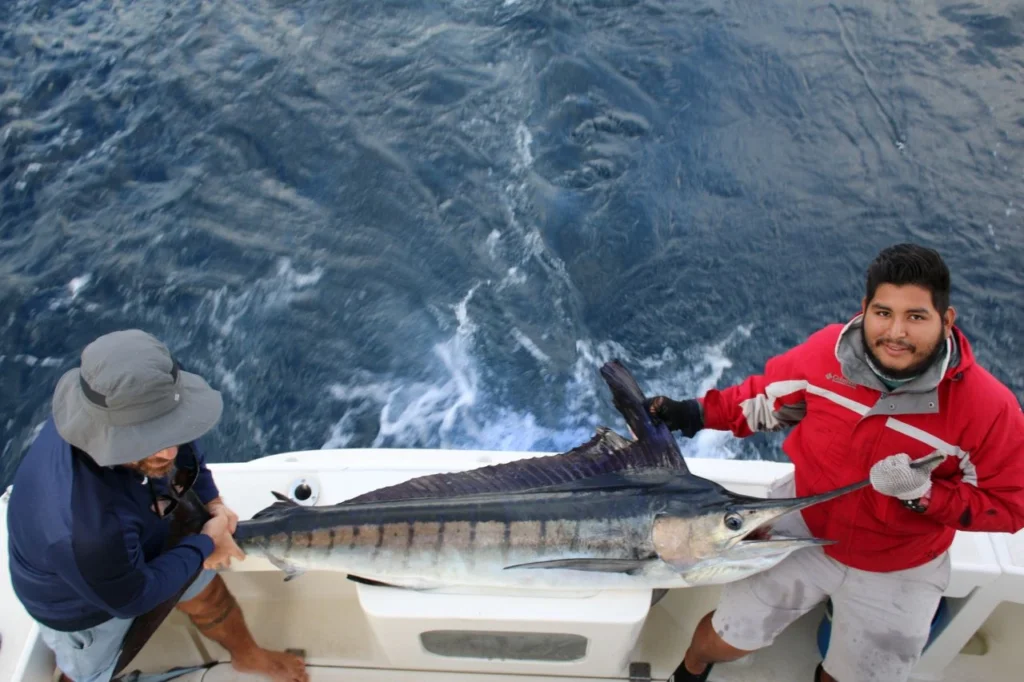Cabo Fishing Prices