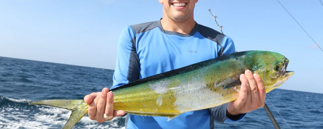 Cabo Fishing Forecast
