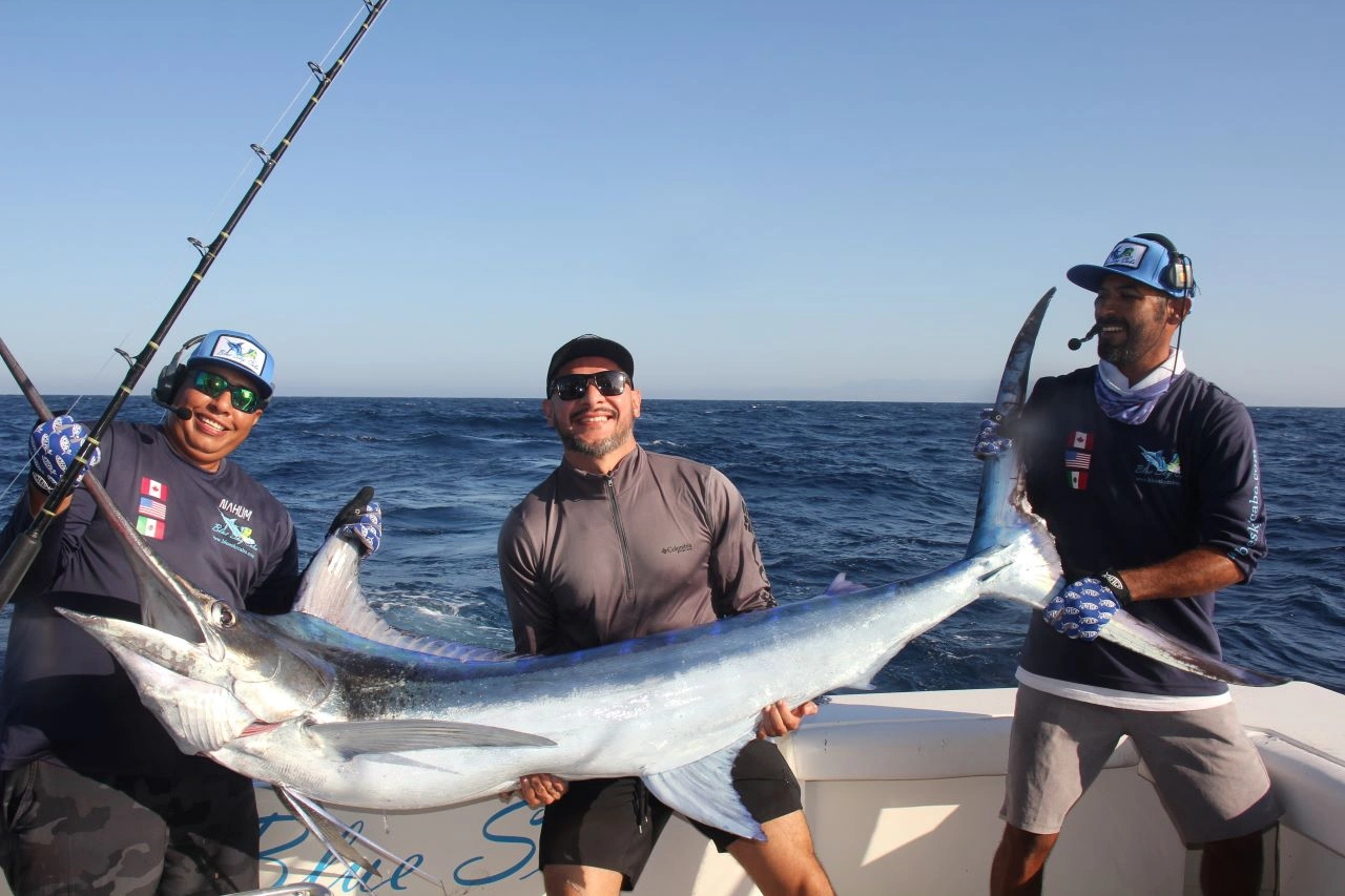Catch and Release Marlin Cabo