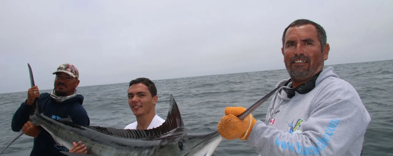 Trophy Marlin Fishing Cabo