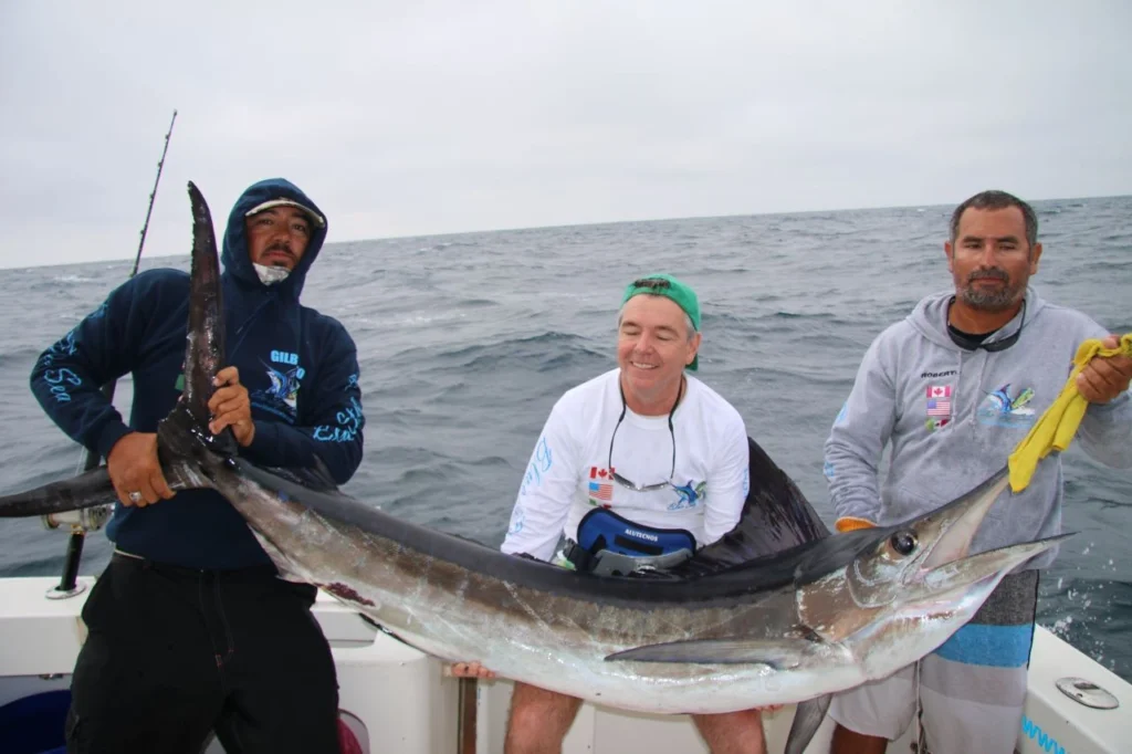 Trophy Marlin Fishing Cabo