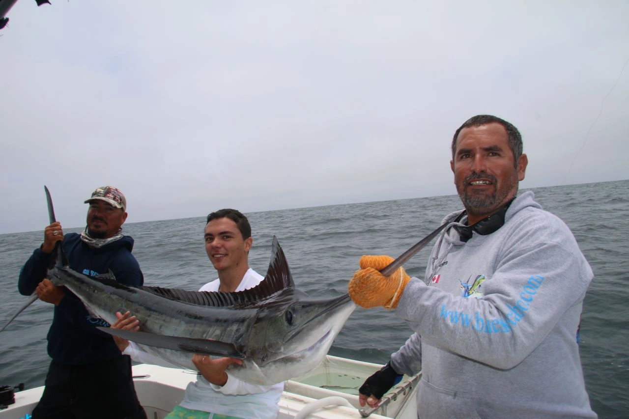 Trophy Marlin Fishing Cabo