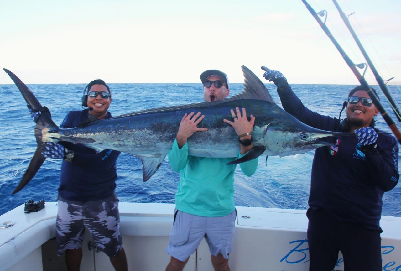 Blue Marlin Season Cabo