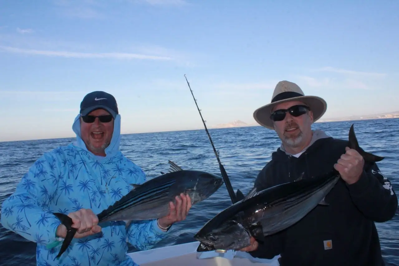 Live Bait Fishing Cabo