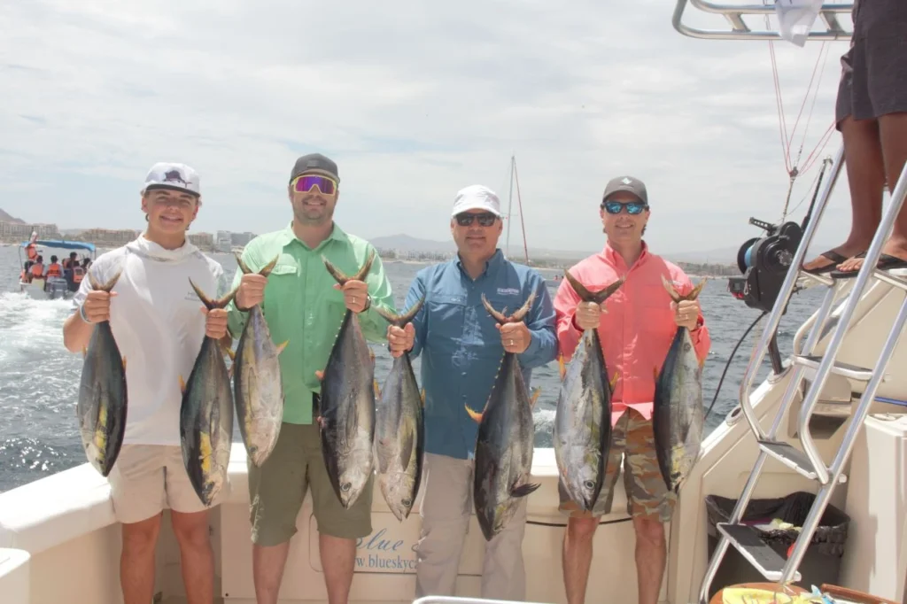 Tuna and Dorado Cabo