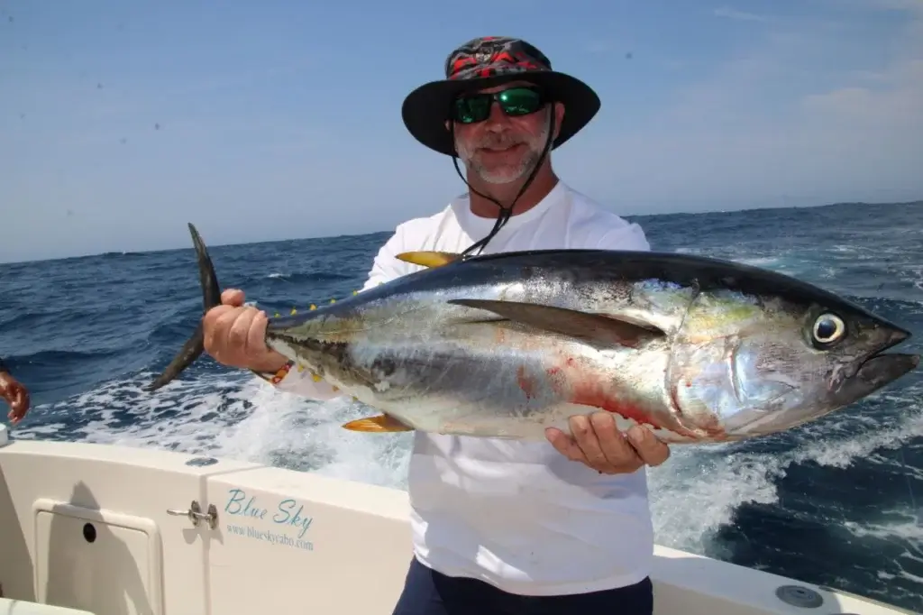 Cabo Fishing Charters