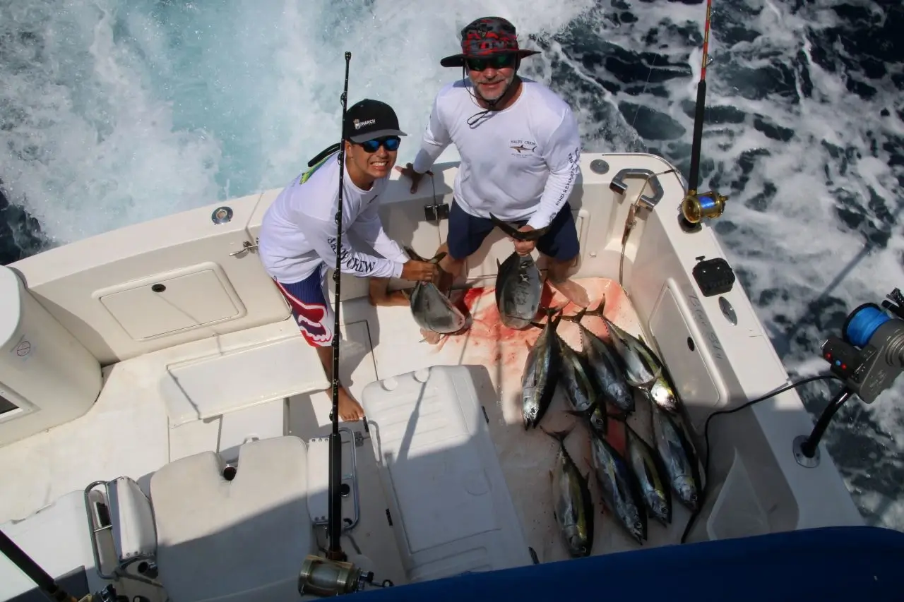Cabo Fishing Charters