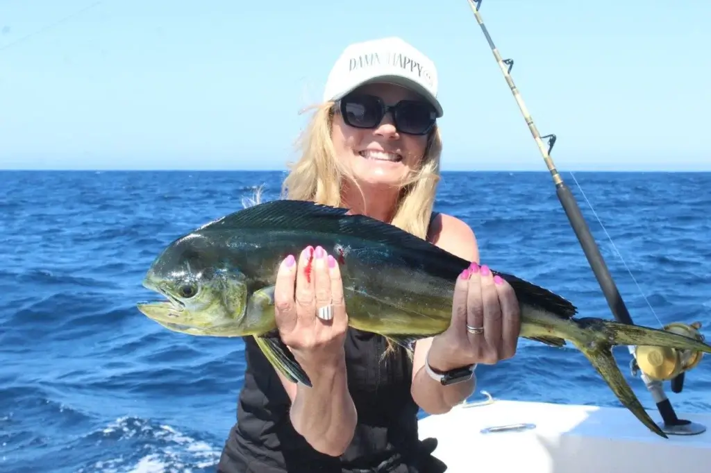 Cabo Fishing For Mahi Mahi