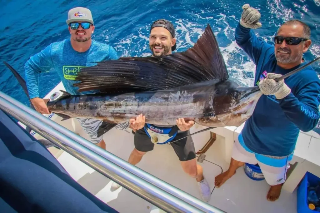 Cabo Fishing For Sailfish