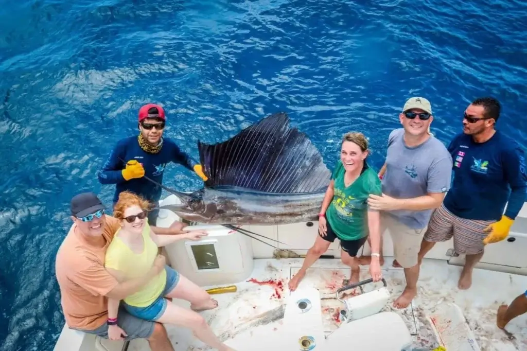 Cabo Fishing For Sailfish