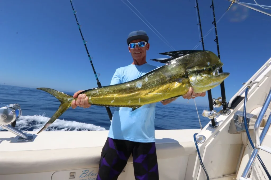 Cabo Fishing Private Charters