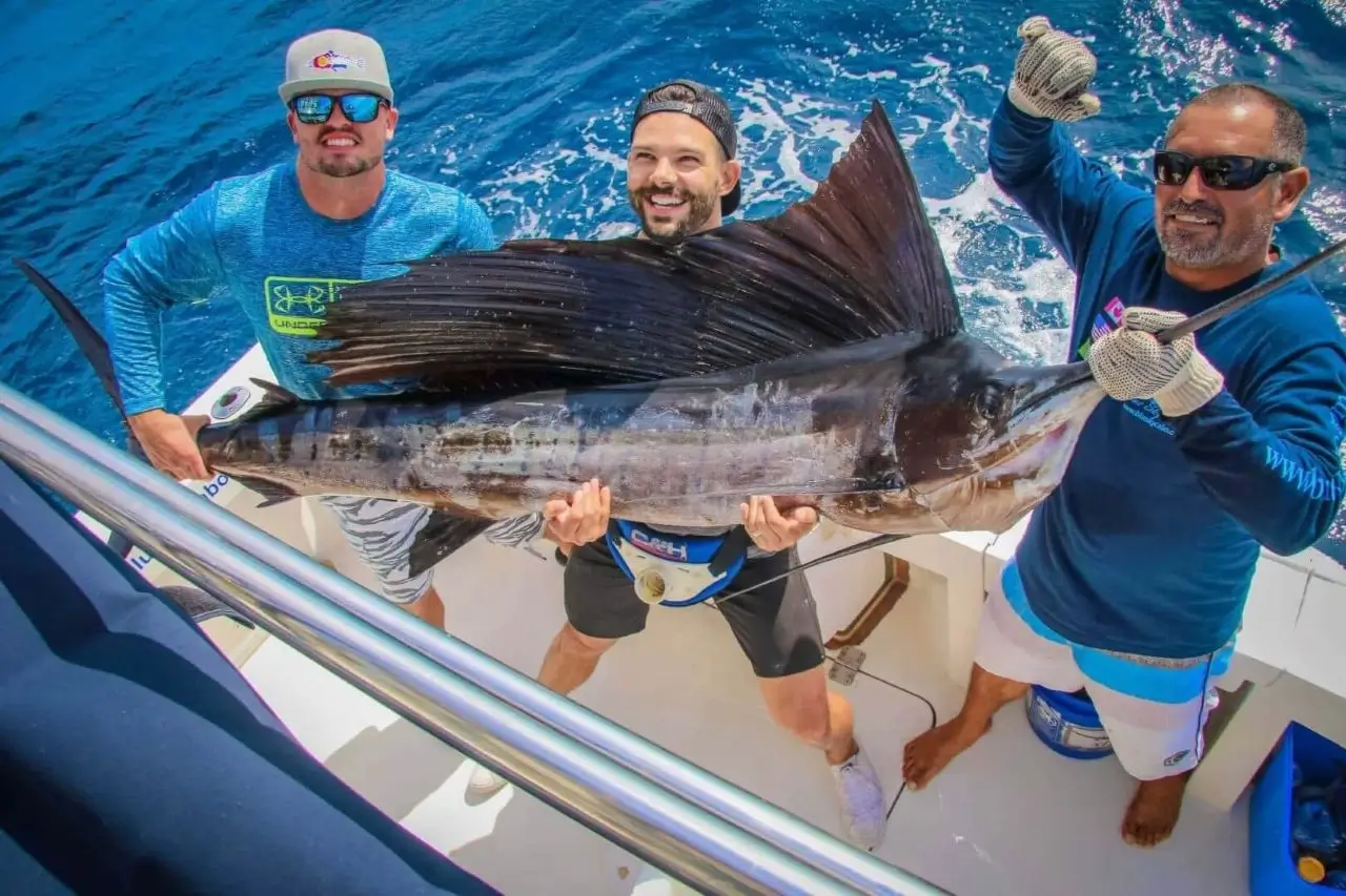 Cabo Sailfish Charter