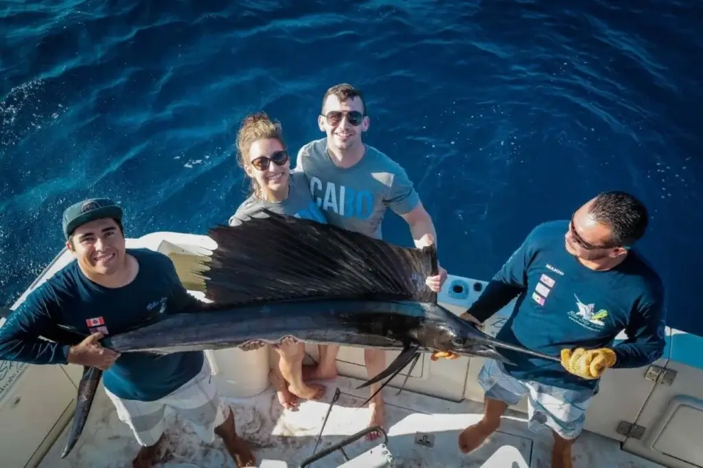 Sailfish Release Cabo San Lucas
