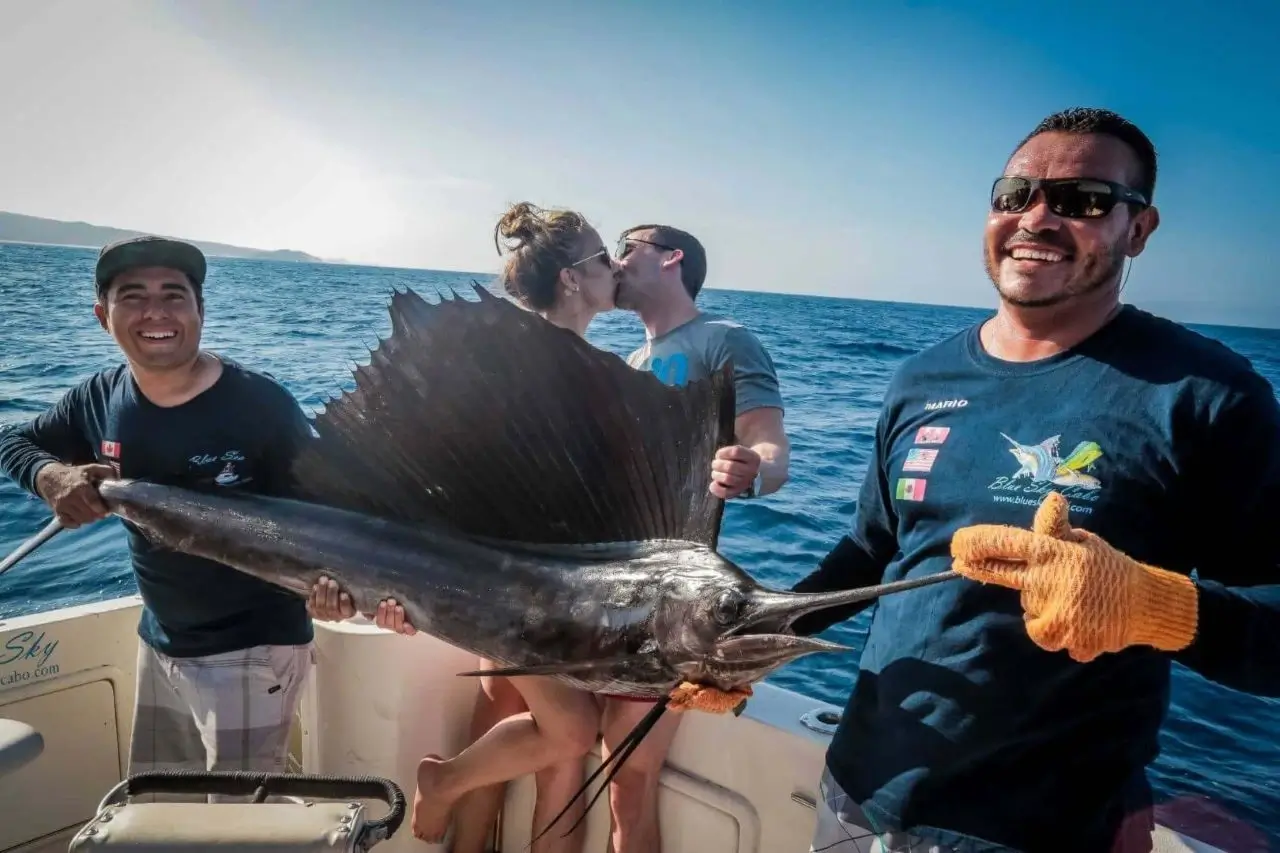Sailfish Release Cabo San Lucas