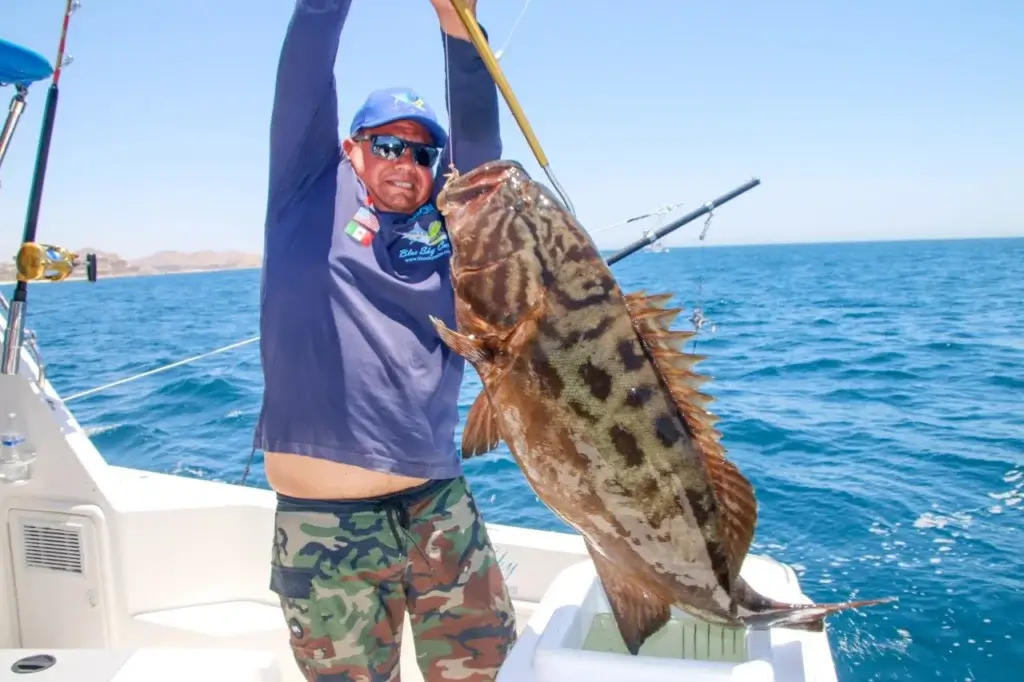 Cabo Fishing Trips
