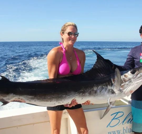 Deep Sea Fishing Cabo
