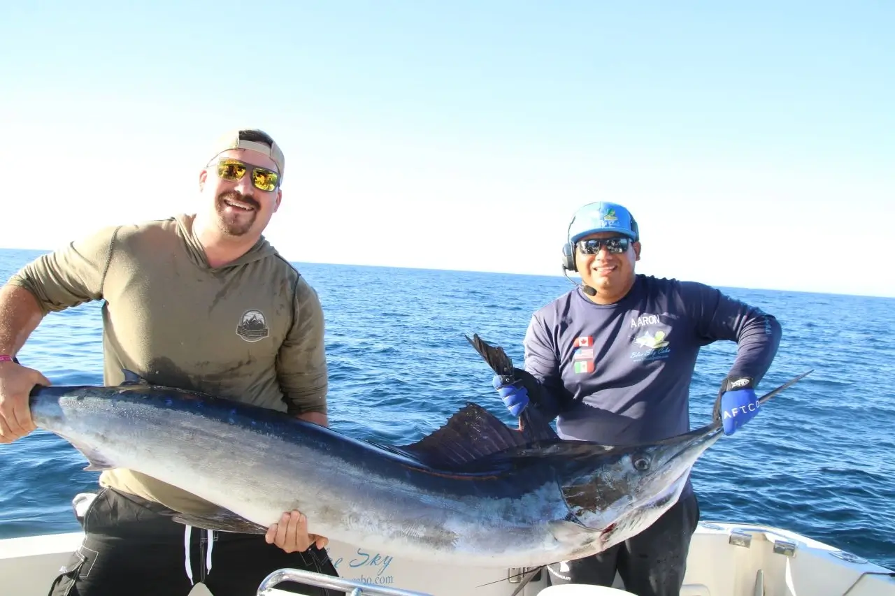 Cabo Fishing Charter for Tournaments