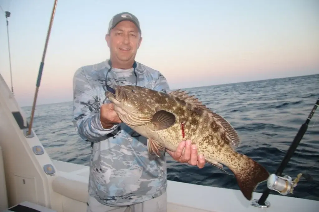 Cabo Grouper Fishing Charter