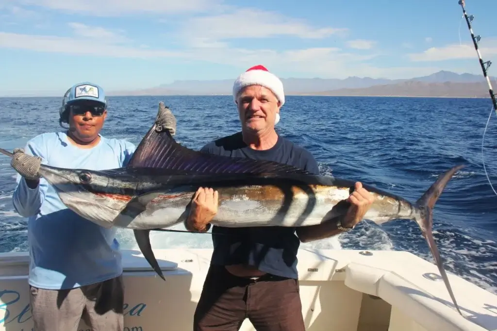 Cabo Offshore Live Bait Fishing