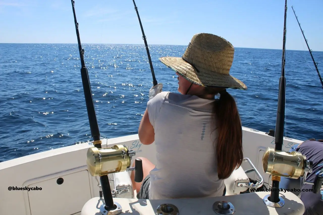 Cabo Offshore Live Bait Fishing