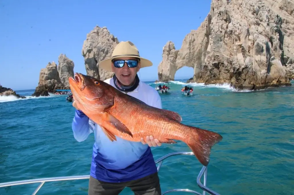 Cabo Snapper Fishing Charter