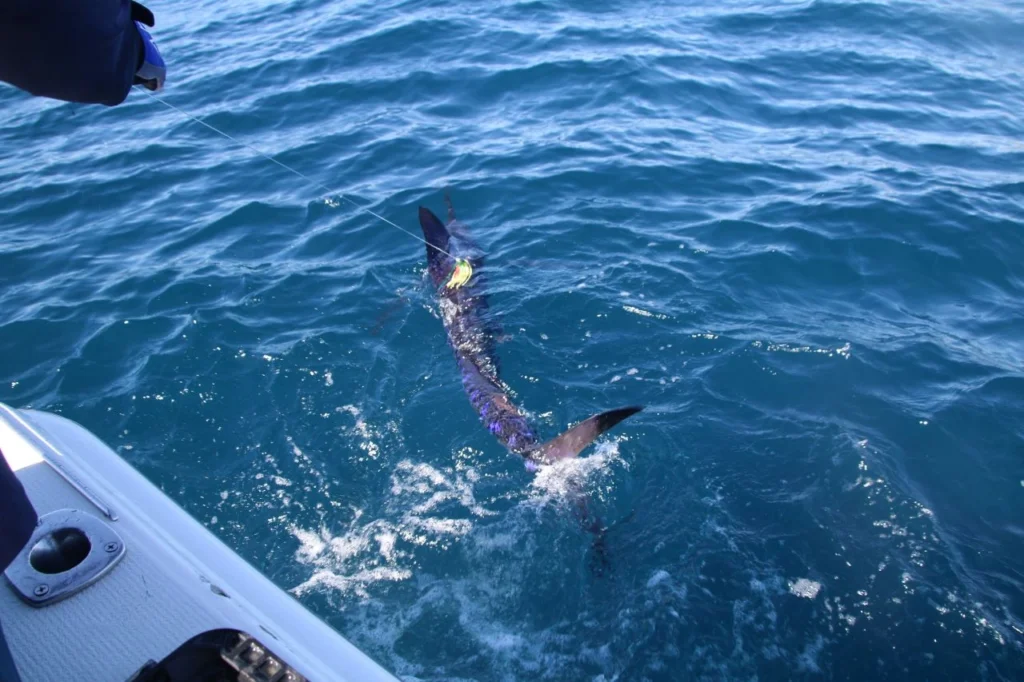 Cabo Family Fishing Charter