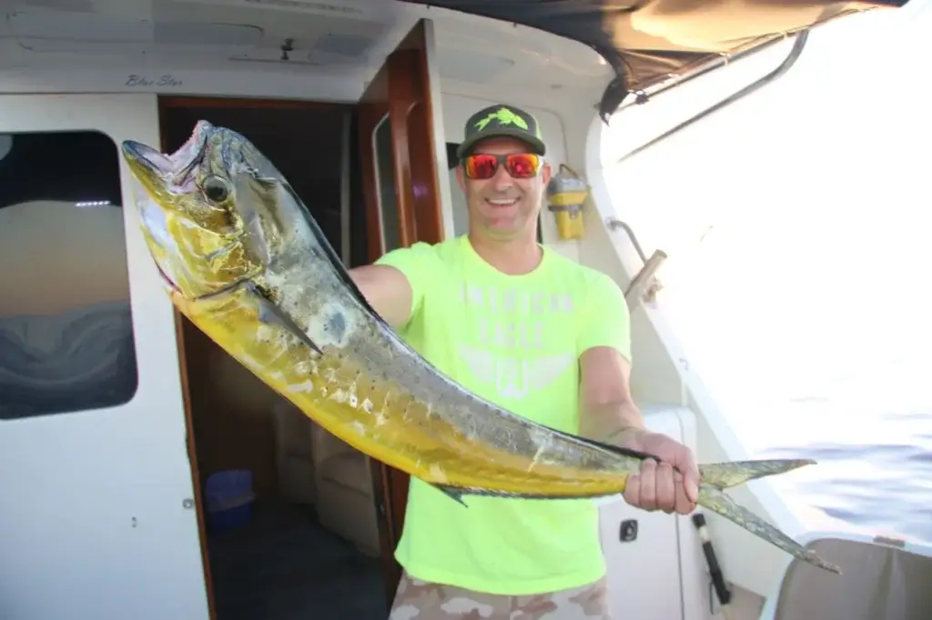 Cabo Fishing Charter Cost