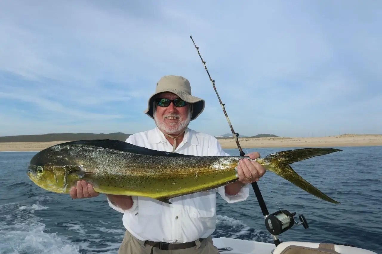 Cabo Fishing Charter Cost