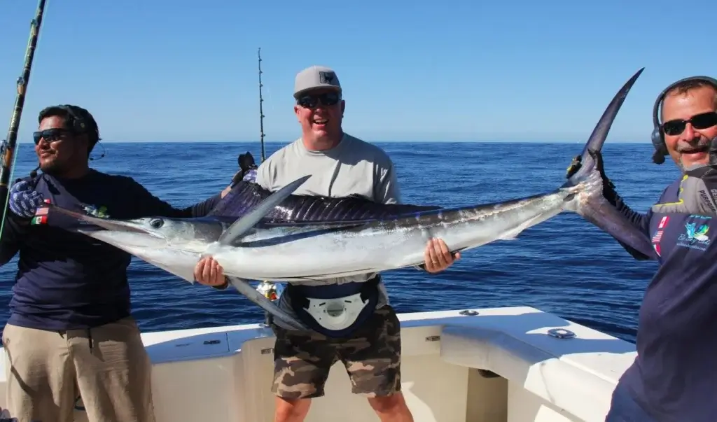 Cabo Fishing Charter for Marlin Release