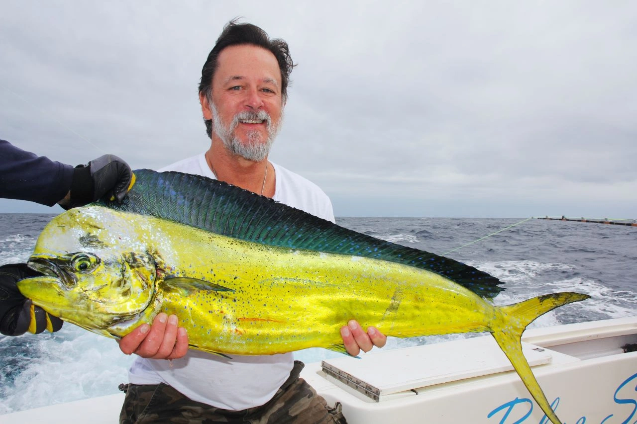 Cabo Fishing Charter in Fall