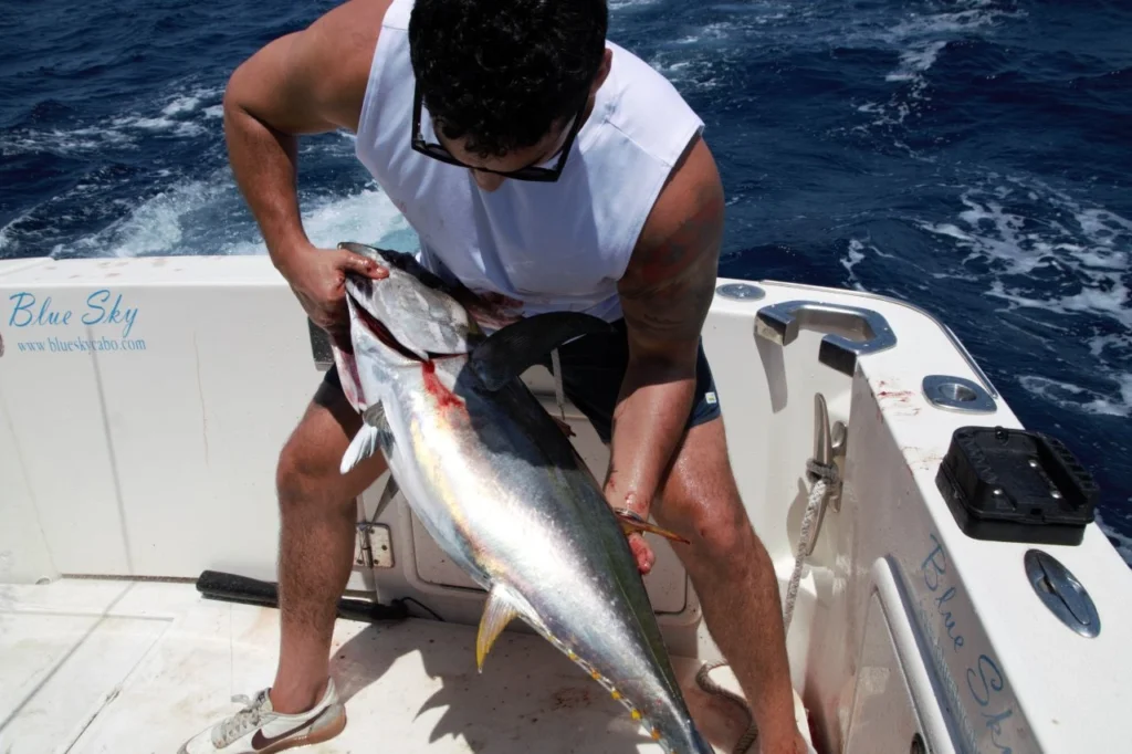 Cabo Fishing Charter with Snorkeling Combo