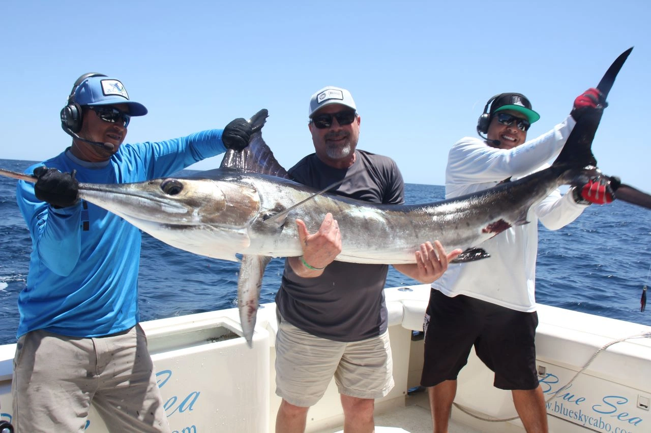 Cabo Mahi Mahi Fishing Report