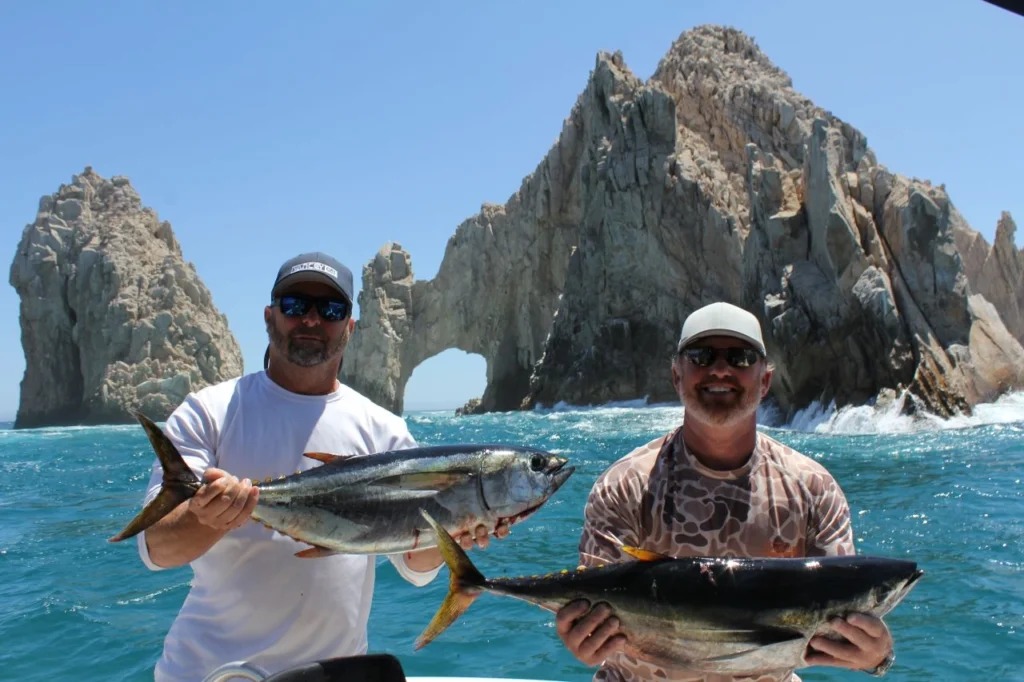 Cabo Tuna Fishing Report