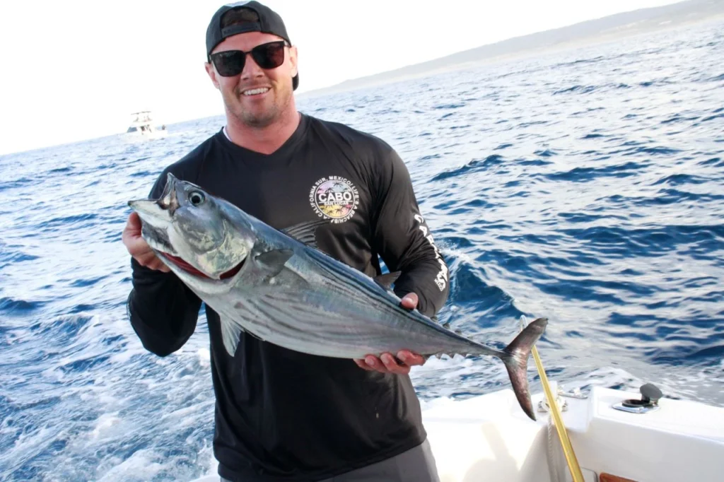 Cabo Tuna Fishing in January