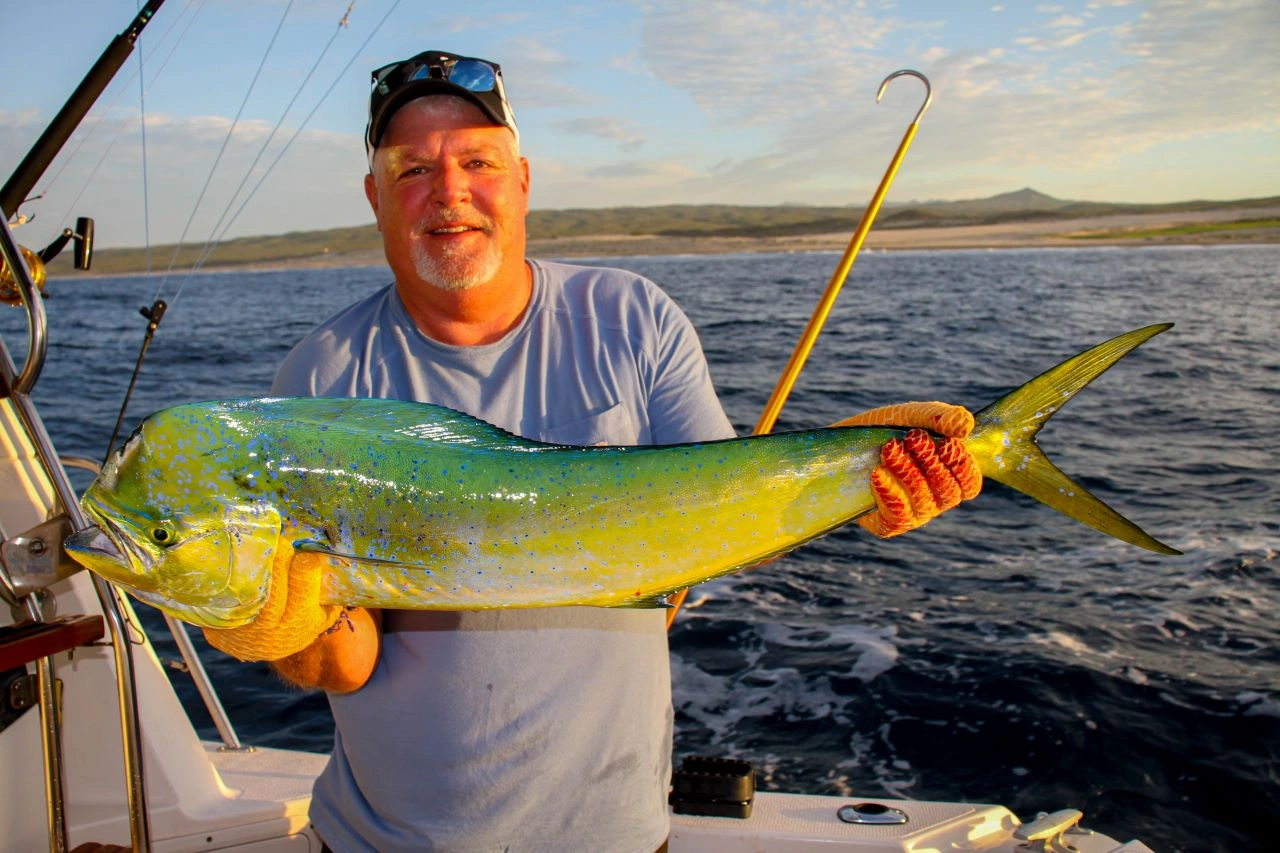 Is Dorado a Good Eating Fish?